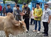 Naik dari Tahun Lalu, Perumda Air Minum Kurbankan 89 Sapi dan Kambing
