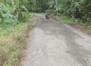 Jalan Penghubung Punggelan-Pandanarum di Banjarnegara Rusak Parah, PUPR Minta Masyarakat Bersabar