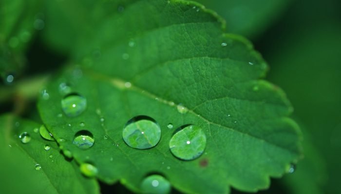 Fenomena Cuaca Terasa Dingin di Jatim, Ternyata Ini Penyebabnya