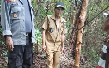 Ular Mangsa manusia di Lawu