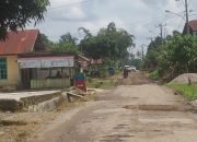 Berkat Dorongan dari Bupati Tapsel, Warga Arse Ini Bangun Jalan Provinsi Rusak Menahun