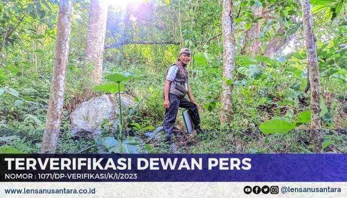 Perjuangan Pantarlih Melewati Jalan Sulit di Tengah Sawah Demi Coklit