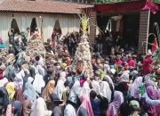 Ribuan Warga Gumelem Kulon Banjarnegara, Rebutan Gunungan Dalam Sadran Suran Sunan Geseng