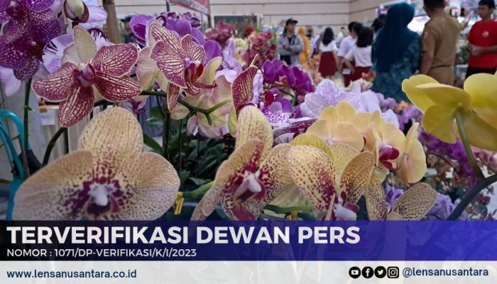 Festival Anggrek II 2024 di Jember: Ajang Silaturahmi dan Pengembangan Agrowisata