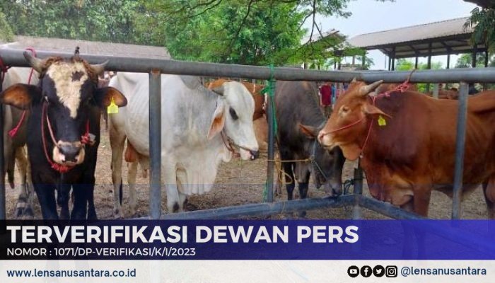 Pemkab Purwakarta Terus Tingkatkan Populasi Ribuan Ekor Ternak Lewat SIKOMANDAN