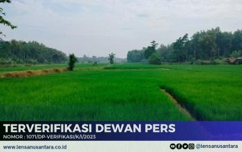 Kepala Dinas Ketahanan Pangan dan Pertanian (Dispangtan) Kabupaten Purwakarta