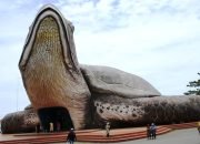 Kura-kura Ocean Park Icon Wisata Bahari Pantai Kartini di Jepara