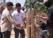 Tinjau Pembangunan Jalan di Kecamatan Dumai Barat, Kabid BM Pastikan Pekerjaan Selesai Tepat Waktu