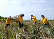 Peringatan Hari Tani Nasional 2024, PT KPI Kilang Dumai Wujudkan Kemandirian Ekonomi Masyarakat Lewat Pertanian Ramah Lingkungan