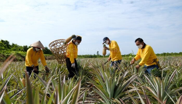 Peringatan Hari Tani Nasional 2024, PT KPI Kilang Dumai Wujudkan Kemandirian Ekonomi Masyarakat Lewat Pertanian Ramah Lingkungan