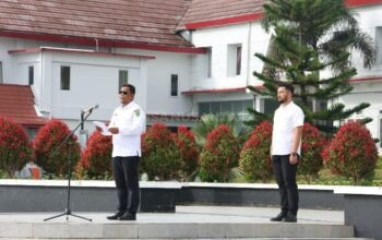 Plt Bupati Tapsel