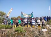 Kodim 0719 Cegah Abrasi, Ratusan Mangrove Ditanam di Pesisir Teluk Awur Jepara