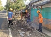 BPBD Bondowoso Gerak Cepat Respon Aduan Masyarakat