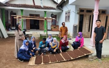 Plt Kepala Diperta Kabupaten Probolinggo