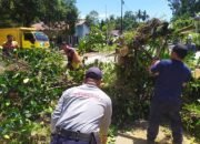 Evakuasi Pohon Tumbang di Jl. Kawitan II, Dua Pengendara Alami Luka Serius