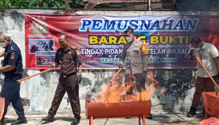 Putusan Inkracht, Kejari Jember Kembali Musnahkan BB Perkara Memiliki Kekuatan Hukum Tetap