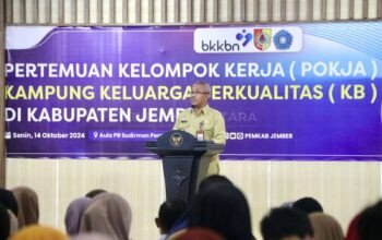 Plt Kepala DP3AKB Jember