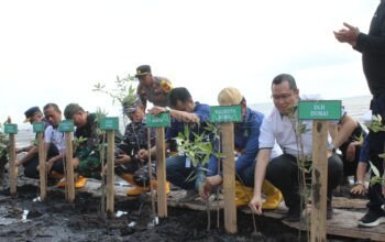 Managemen Apical Dumai
