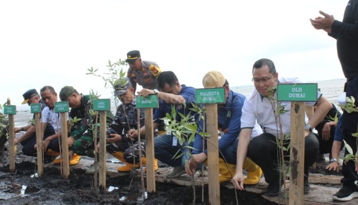Apical Dumai Tanam 2000 Pohon Mangrove di Pantai Taisan
