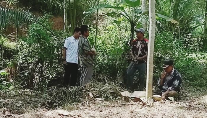 Bermodal Daun dan Tempurung Kelapa, Dua Orang di Banjarnegara Bisa Mendeteksi Sumber Mata Air Bawah Tanah