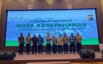 Direktur SSL Apical