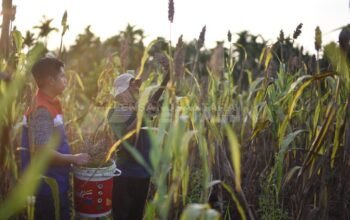 Area Manager Communication, Relations & CSR RU Dumai