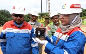 Sr Petroleum Engineer