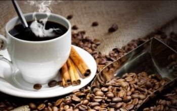 Situbondo Surganya Kopi dan Tembakau