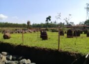 Bondowoso Punya Ribuan Koleksi Benda Megalithikum