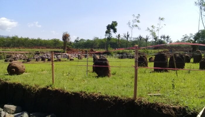 Bondowoso Punya Ribuan Koleksi Benda Megalithikum