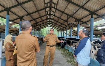 Plt. Bupati Malang