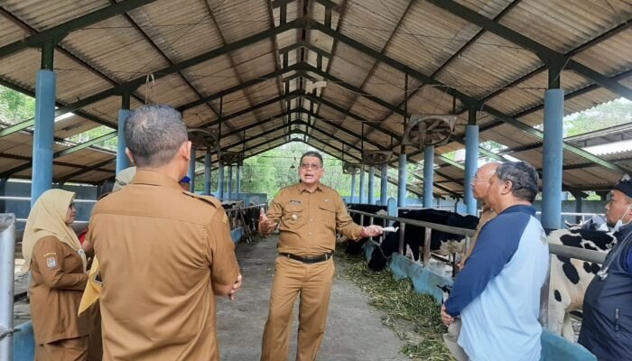 Plt Bupati Malang Tinjau Produksi Keju Gouda, Siap Ekspansi Pasar