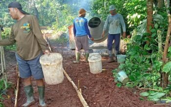 Kepala Desa Wanawali