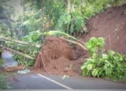 Tiga Hari Diguyur Hujan Lebat, 3 Ruas Jalan di Pasaman Longsor, Satu Jembatan Hanyut