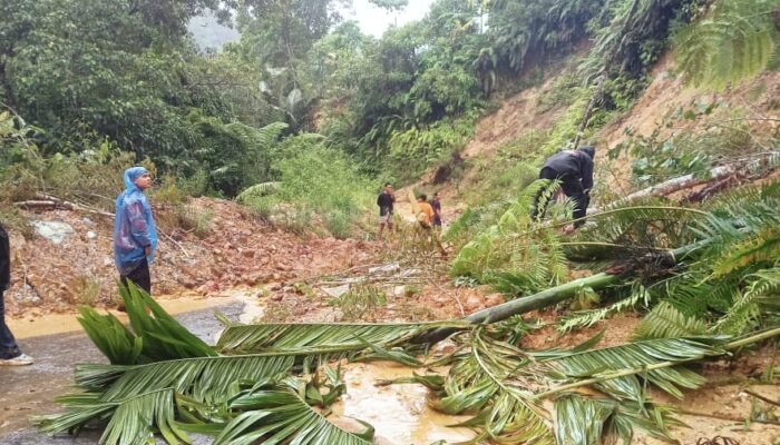 Longsor Susulan Kembali Terjadi di Pasaman, Ruas Jalan Rimbo Malampah Belum Bisa Dilewati Mobil