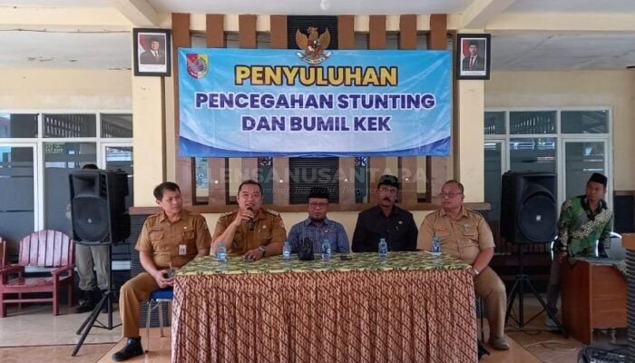 Cegah KEK, Camat Mayang di Jember Sosialisasikan Pencegahan Stunting dan Penyuluhan Ibu Hamil