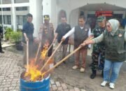 Cegah Kecurangan, KPU Kuansing Musnahkan 827 Surat Suara Rusak Pilgub dan Pilbup