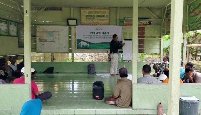 Apical Jalankan Program Budi Daya Kambing dan Pelatihan Penyusunan Rencana Bisnis untuk Kelompok Tani di Dumai