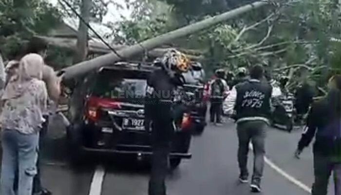 Pohon Besar di Pangandaran Tumbang Timpa Pengendara