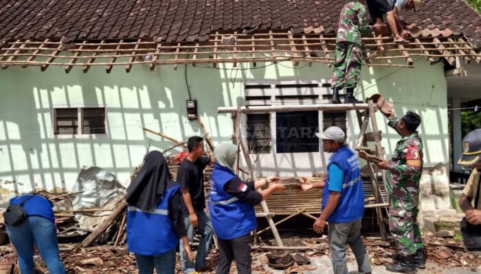 Koramil 0824/24 Ambulu Turun Tangan Perbaiki Rumah Warga Diterjang Angin Puting Beliung