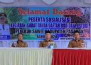 Bupati Sabar AS Optimis Perkebunan Sawit Akan Berkembang