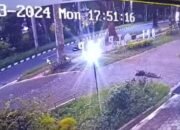 Terekam CCTV, Mahasiswa Unej Diduga Bunuh Diri Loncat dari Lantai 8
