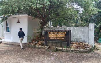 Kepala Bidang Kebudayaan