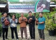 Anggota DPRD Banjarnegara Fraksi Golkar Dorong Agrowisata Daerah Bawah, Sugijen : Punya Potensi Besar