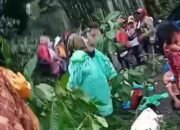 13 Orang Jadi Korban, Polisi Ungkap Penyebab Kecelakaan Mobil Pikap di Jalan Kawah Ijen Bondowoso