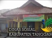 Anak Penderita Kelenjar Getah Bening di Pematang Sawa Mulai Mendapatkan Tanggapan pemerintah Tanggamus