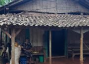 Belum Sempat Dapat Bantuan, Rumah Mbah Nursiyah Warga Mindahan Kidul Jepara Sudah Ambrol