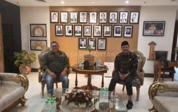 Ketua Umum Serikat Media Siber Indonesia (SMSI)