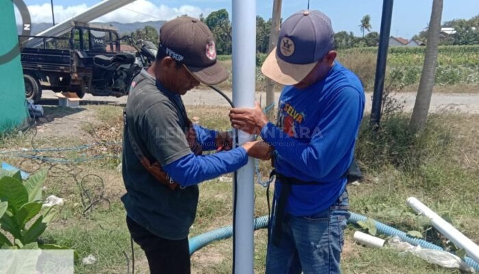 Optimalkan Lahan Pertanian Tanam Padi, Petani di Jember Dapatkan Bantuan Irpom Kementan