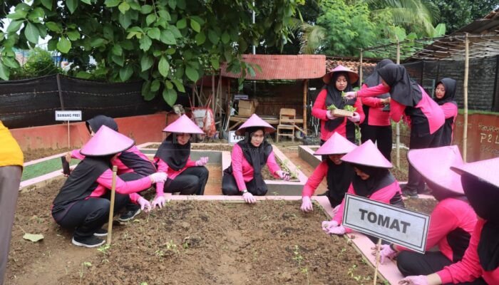 Pengurus Bhayangkari Pamekasan Manfaatkan Lahan Kosong Kelola P2L